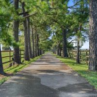 400 - AC Cattle Ranch in Okmulgee images 5
