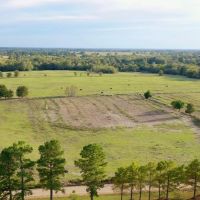 Farmland with Wildlife in SE Oklahoma Atoka