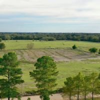 Farmland with Wildlife in SE Oklahoma Atoka images 2
