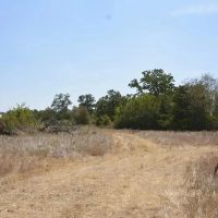 TBD Andreas Rd Round Top TX 78954 images 5