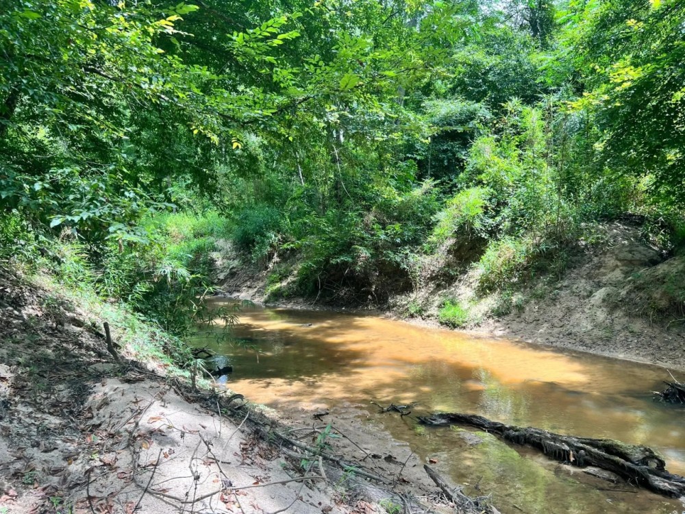 38 Acres in Kemper County MS featured image