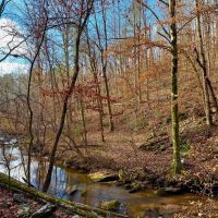 StoneyBrook At Hatchet Creek images 3