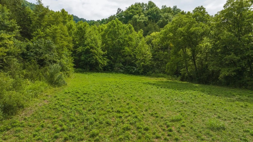 East Tennnesse Hunting Property for Sale Hawkins County featured image