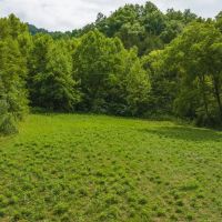 East Tennnesse Hunting Property for Sale Hawkins County
