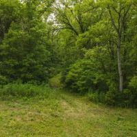 East Tennnesse Hunting Property for Sale Hawkins County images 2