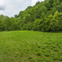 East Tennnesse Hunting Property for Sale Hawkins County images 4
