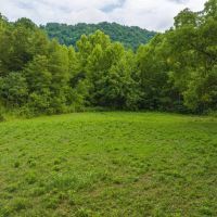East Tennnesse Hunting Property for Sale Hawkins County images 5