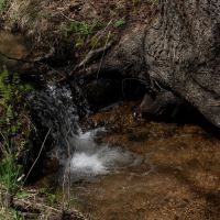 Vance Peak Ranch images 3
