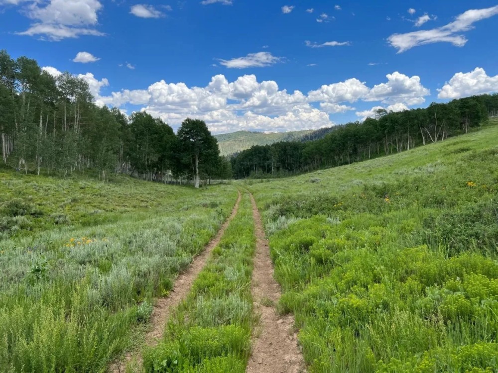 Cabin Hollow Ranch featured image