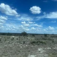 Raw land in Sutton County for hunting or homesite