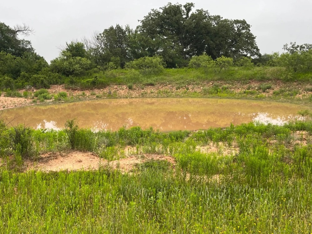 140 -Acres Co Road 137 Cisco TX 76437 featured image