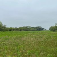 140 -Acres Co Road 137 Cisco TX 76437 images 2