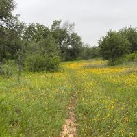 140 -Acres Co Road 137 Cisco TX 76437 images 5