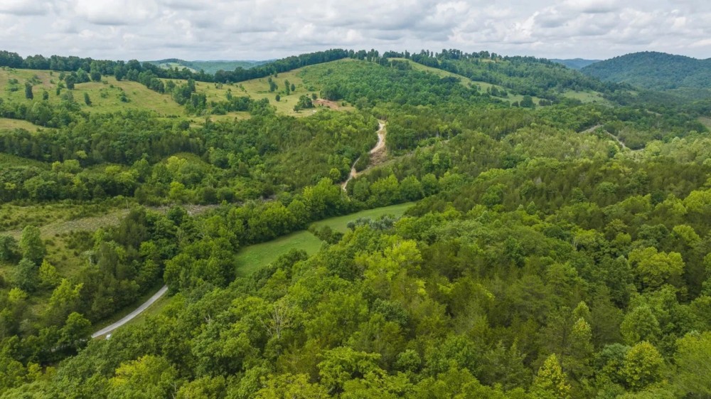 174 Acres War Creek Road Eidson Tennessee featured image