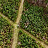 65 - Acre Hunting Property and Homesite Near Kitterlin Bay