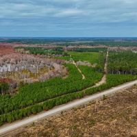 65 - Acre Hunting Property and Homesite Near Kitterlin Bay images 2