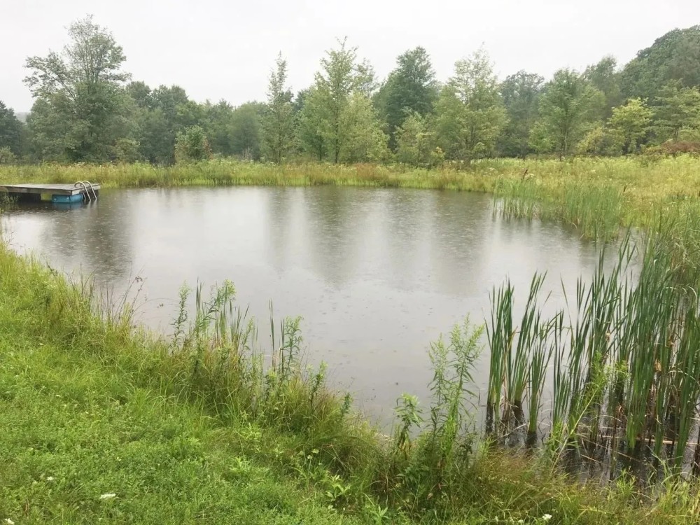 Off Grid Cabin on 10 acres with Pond and Creek in Alfred NY Hess Road featured image