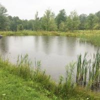 Off Grid Cabin on 10 acres with Pond and Creek in Alfred NY Hess Road