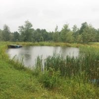 Off Grid Cabin on 10 acres with Pond and Creek in Alfred NY Hess Road images 4