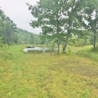 Off Grid Cabin on 10 acres with Pond and Creek in Alfred NY Hess Road images 5