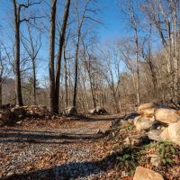 27 Acres in Hamilton County TN images 3
