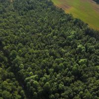 8.52 acres of Recreational Land For Sale in Duplin County NC images 2