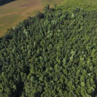 8.52 acres of Recreational Land For Sale in Duplin County NC images 5