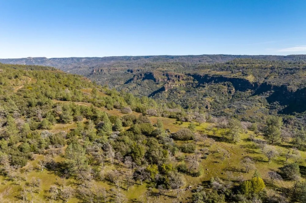 Baccala Ranch featured image