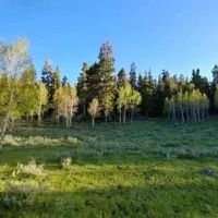Bear Valley Ranch images 4