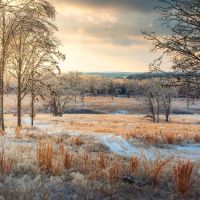 Golden Acres