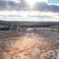 Golden Acres images 3