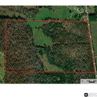 Golden Acres images 4