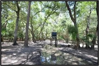 Hunting Preserve 370 - acres on Charlie Creek featured image