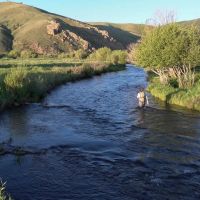 Trout Garden on Tomichi Creek