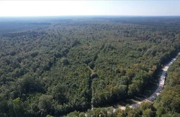 268 Acres in Caldwell Parish in Grayson LA featured image