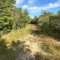 268 Acres in Caldwell Parish in Grayson LA images 3