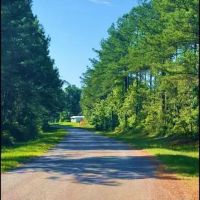 27.28 Acres in Winston County in Louisville MS images 5