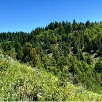 Henry s Fork Highlands Ranch images 4
