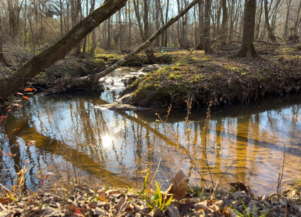 Buckeye Creek Farm featured image