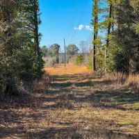 Buckeye Creek Farm images 4