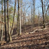 Buckeye Creek Farm images 5