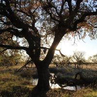 Rural acreage option 1.5 hours West of Downtown Ft. Worth
