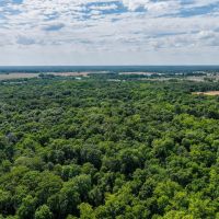 Approximately 133 acres of rolling hills and wooded bliss in Dix IL images 5