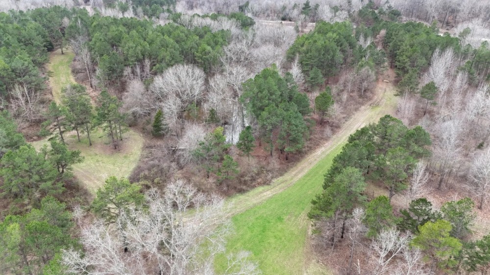 67 Acres in Benton County MS featured image