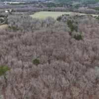 67 Acres in Benton County MS images 2