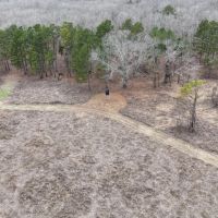 67 Acres in Benton County MS images 4