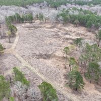 67 Acres in Benton County MS images 5