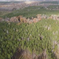 64.06 Acres in Rankin County MS images 3