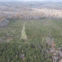 64.06 Acres in Rankin County MS images 5