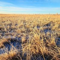 Affordable Parcel of CRP with Mountain Views Close Proximity to Denver Metro images 4